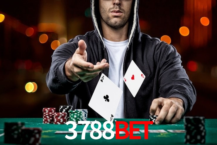 Servidor Brasil 3788bet